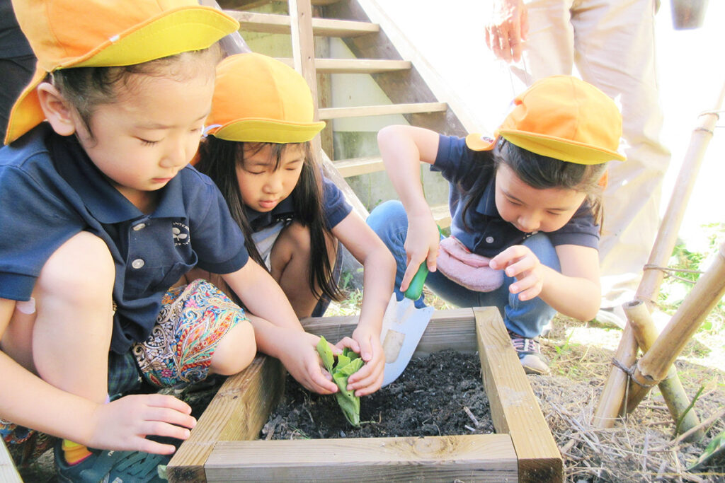 さくらインターナショナルスクール東大阪校